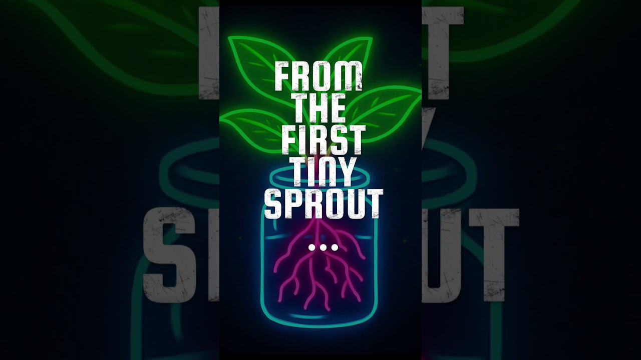 Neon Sign #HappyFriday #GrowtheJungle #PlantAddict #SnGPlantastic #BeaverBoards