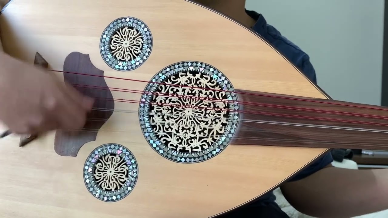 سألوني الناس عود
