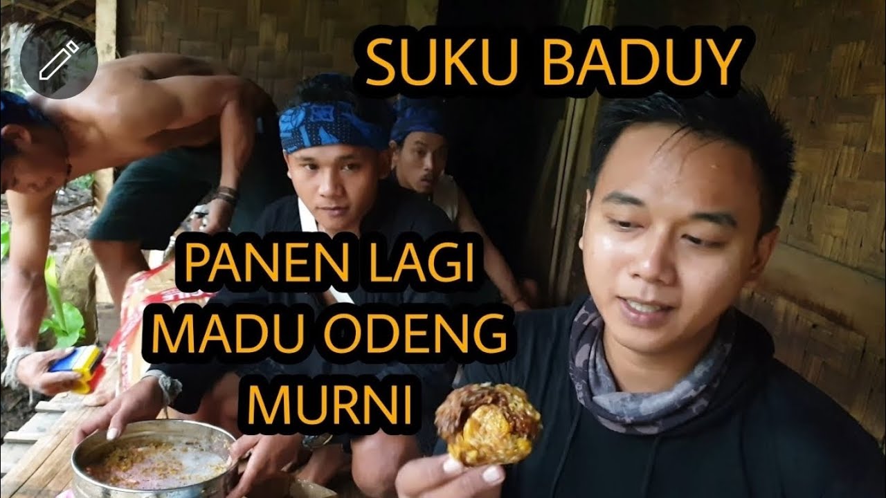 PANEN MADU ODENG SUKU BADUY - BANYAK MADU ODENG BADUY PALSU