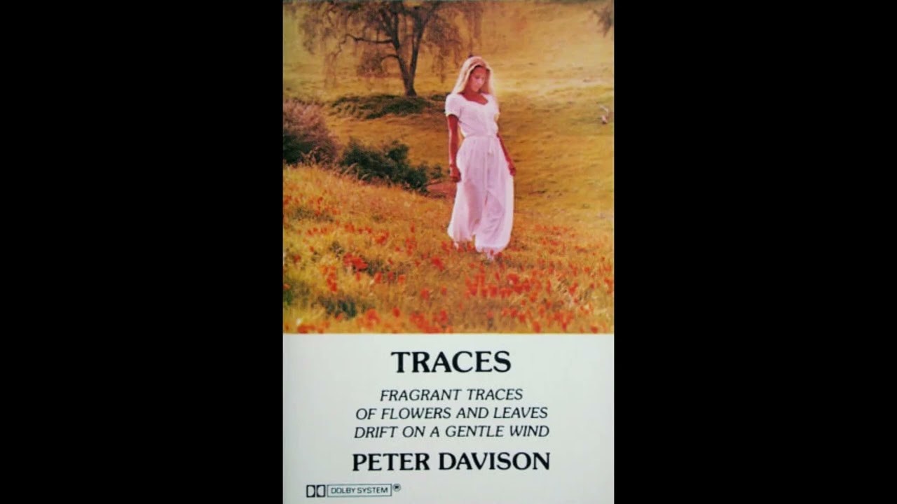 Peter Davison - Traces