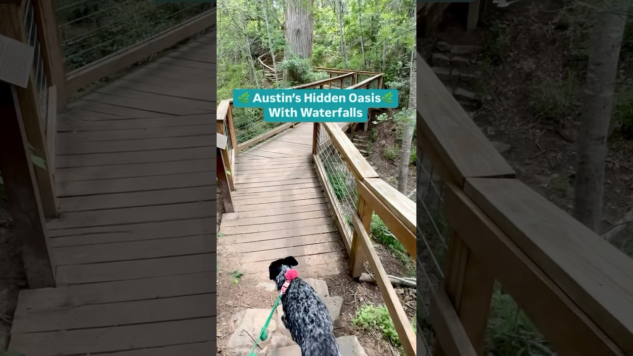 🌿 Austin&rsquo;s Hidden Oasis with waterfalls & trails!