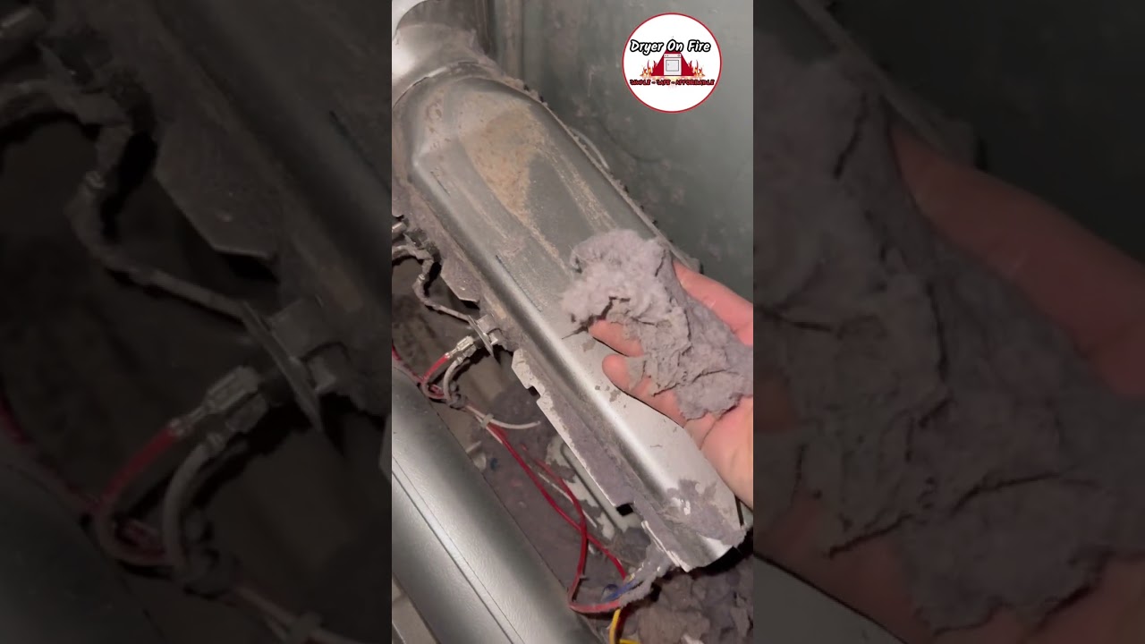 Severe Fire Hazard in a 7 year old LG Dryer - ASMR Cleaning 😱🔥 #oddlysatisfying