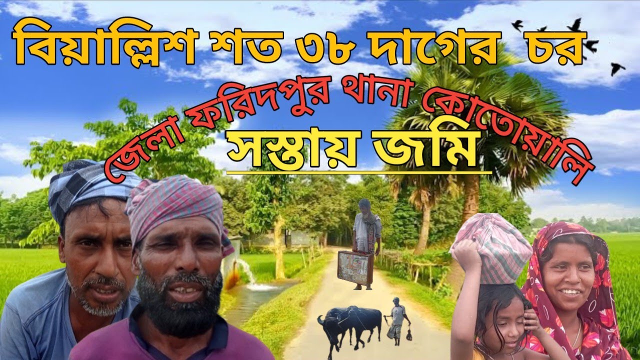 চরে ভাতের অভাব নাই  কাজ করে খাইলে! সস্তায় জমি!  village life! Faridpur chor!