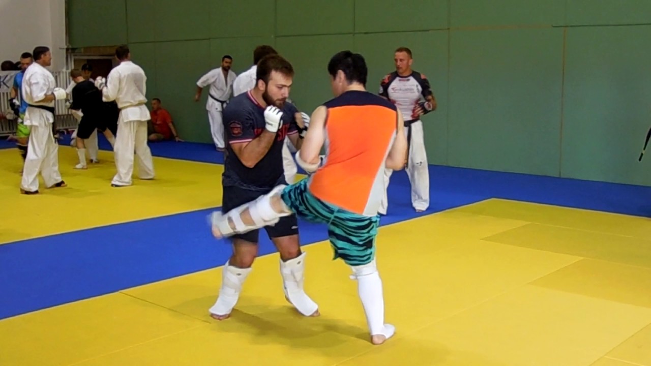 Tariel Nikoleishvili vs Zenjuro Mori