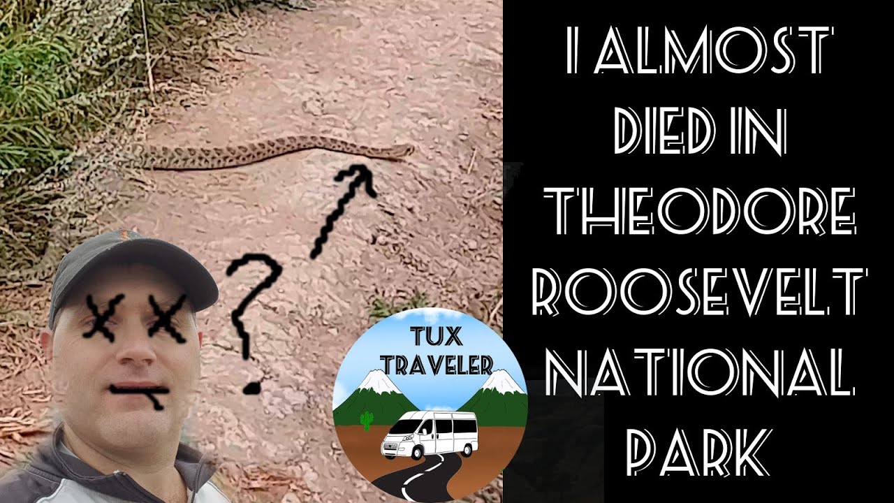 Stumbled Upon a Rattlesnake at Theodore Roosevelt National Park