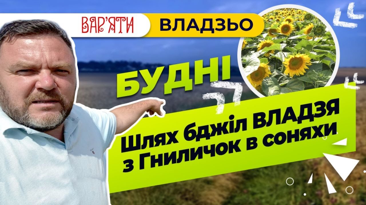 Владзьо про шлях бджіл з Гниличок в соняхи і назад