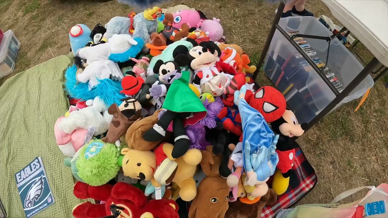 shepperton car boot sale 16th august   over paying and not knowing what im buying