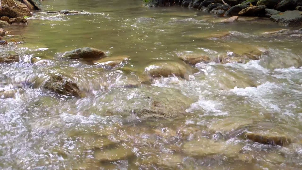 1 Hour of Flowing River Sounds for Deep Concentration, Relaxation, Sleep, Study