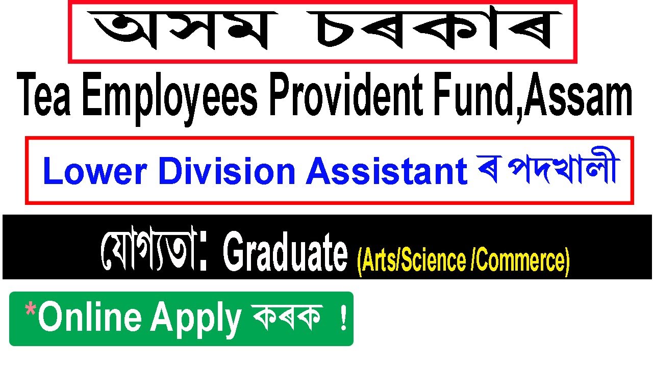 Assam Tea Employees Provident Fund Organization Recruitment 2021 || Graduate job in Assam
