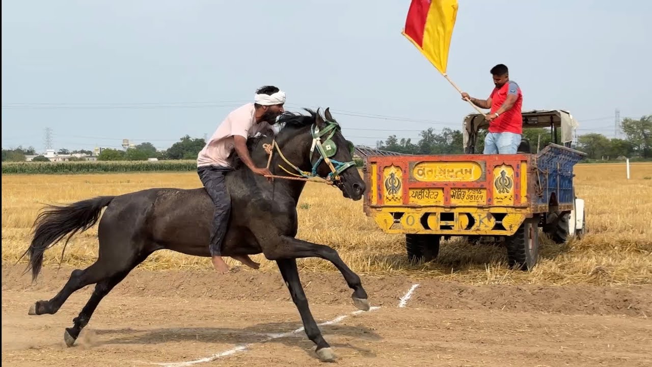 📍Boor Majra (Ropar) || Horse Racing BAREBACK RIDING@marwarihorselovers