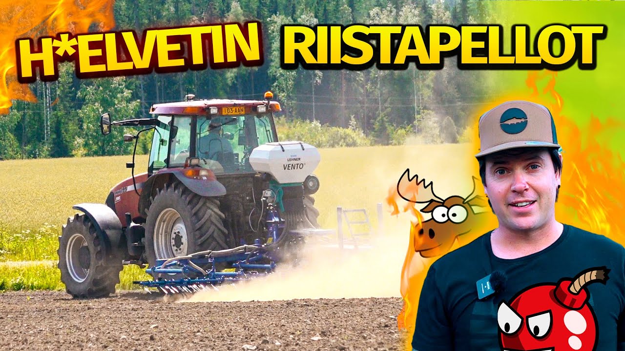 Tähänkö tämä on mennyt? Perustin 17 hehtaaria riistapeltoa!