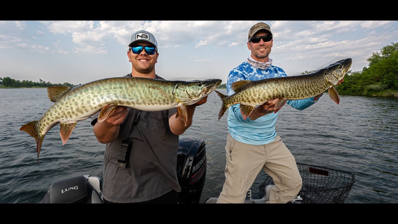 Becoming a Musky Angler: 4 Muskies in 20 Minute Bite Window
