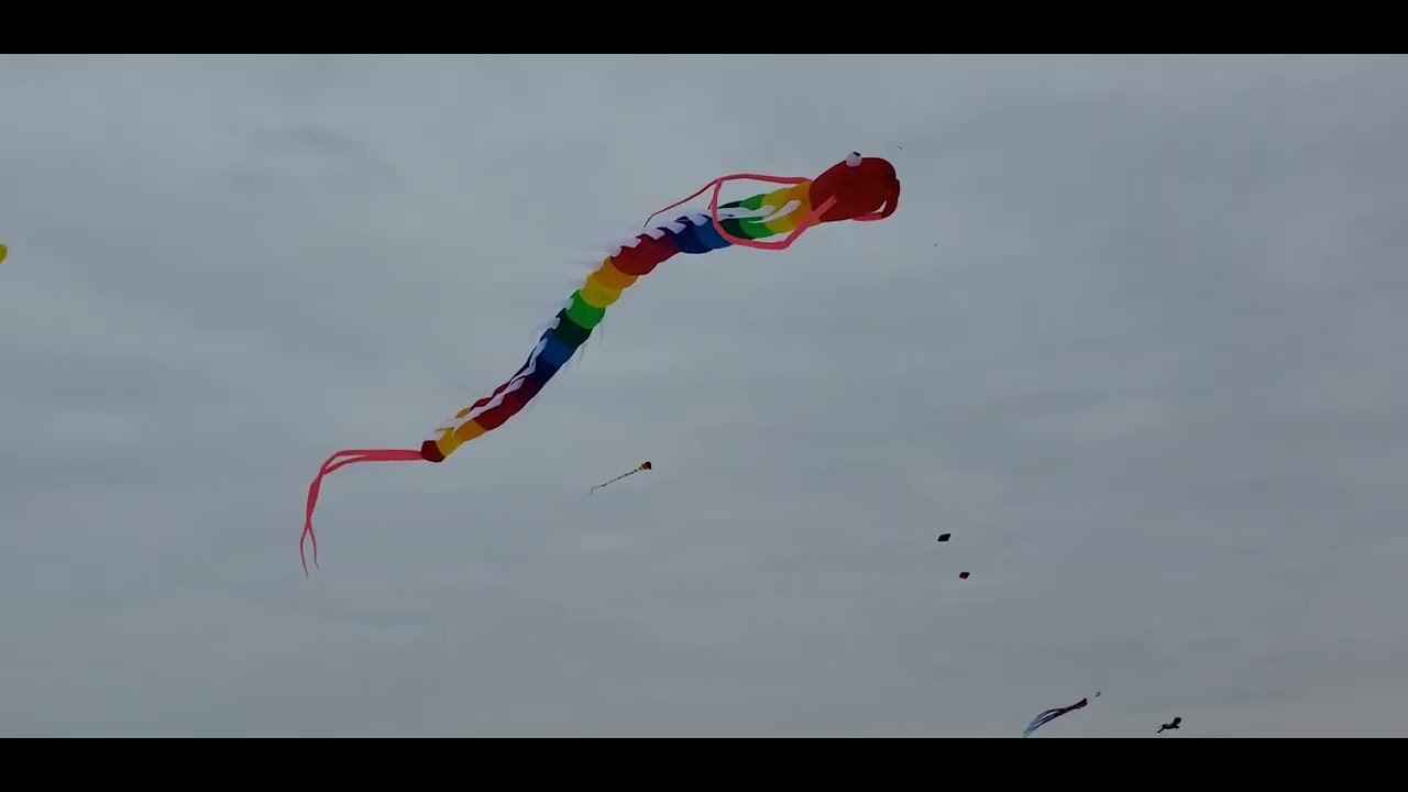 Frozen Assets Festival Madison WI 2026. The 45M Centipede debut!