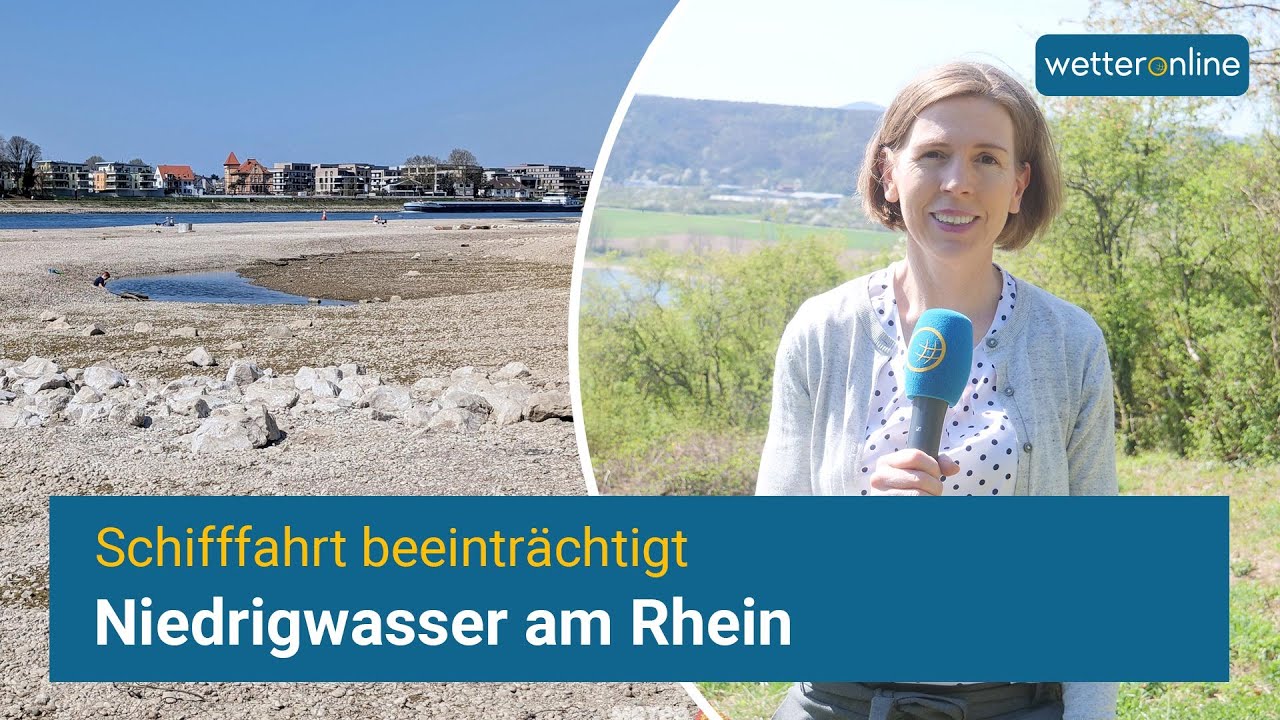 Niedrigwasser am Rhein - Schifffahrt beeinträchtigt (April 2025)