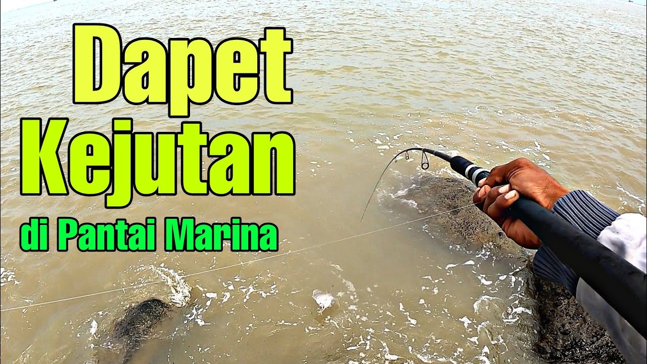 Dapet Kejutan Di Pantai Marina