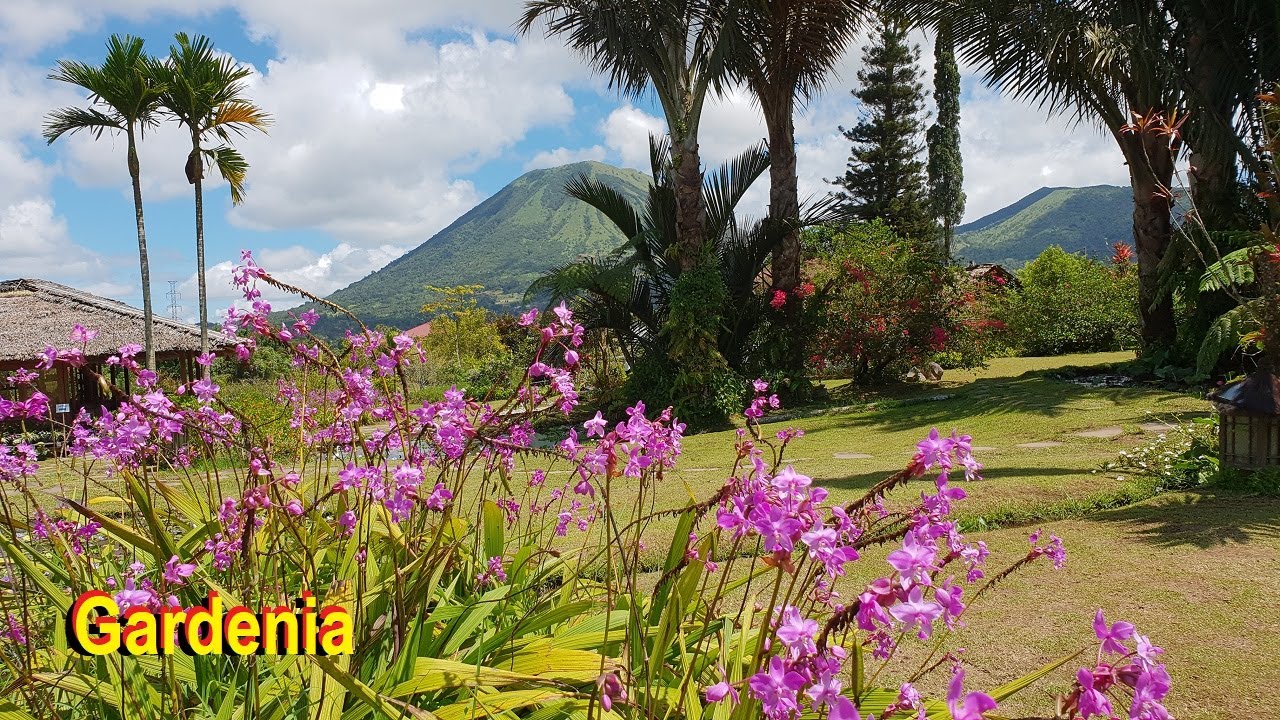 🌷Gardenia Country Inn Restaurant, Kota Tomohon, Sulawesi Utara.