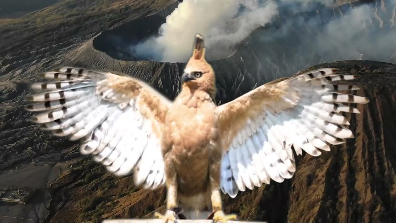 Garuda Pancasila in real life