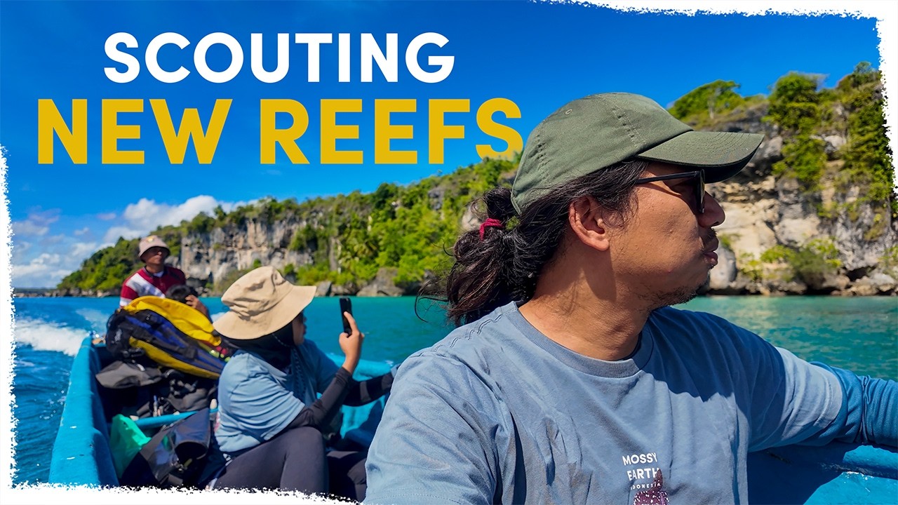 How we find reefs that need restoring | VLOG