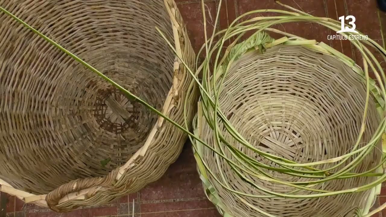 Antuco nos enseñan a fabricar un canasto de quilas. Crónica de Patagonia, 2021.
