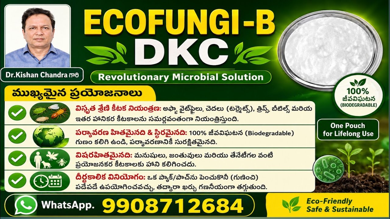 255. బవేరియా బాసియాన - Bio pesticide - Ecofungi (B) - DKC, DR.KISHAN CHANDRAS Buaveria BASSIANA .