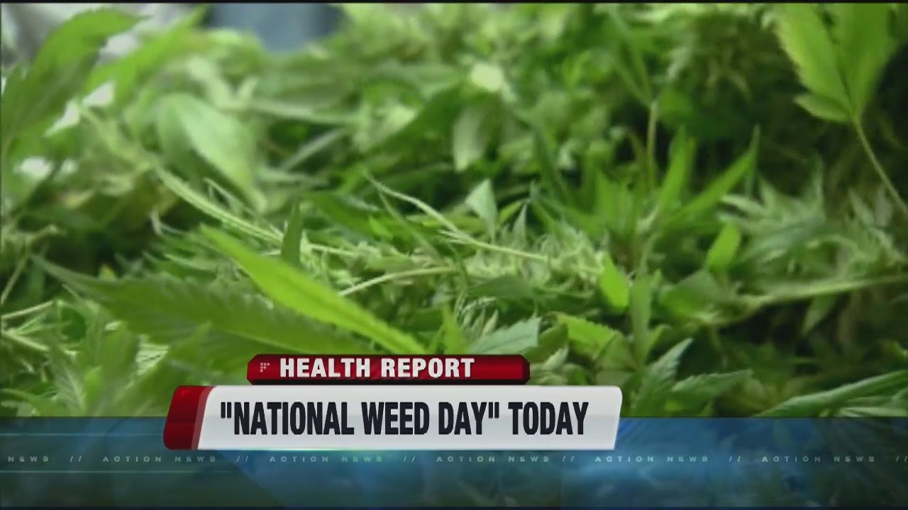 'National Weed Day' celebrated on 4/20