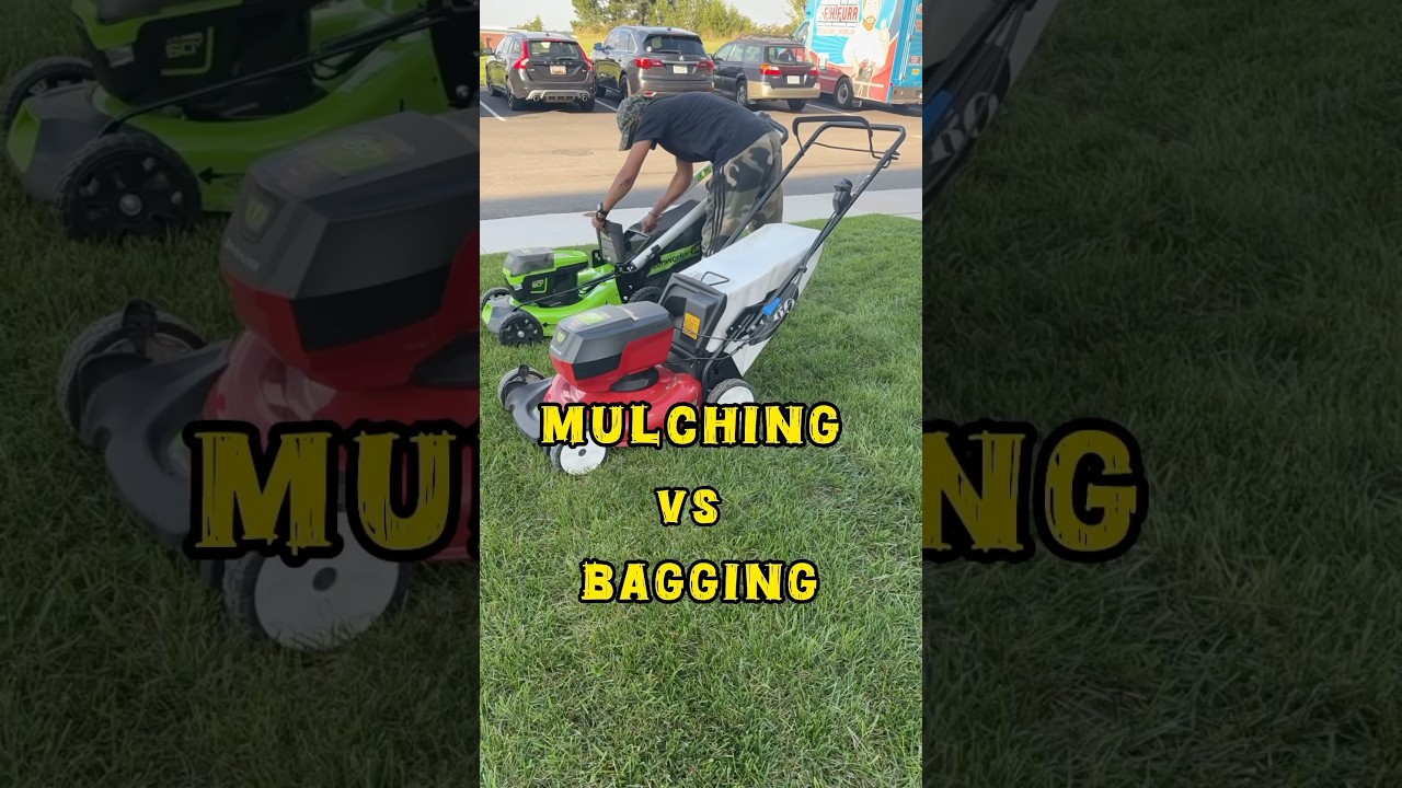 Что лучше: мульчировать или мешать? 