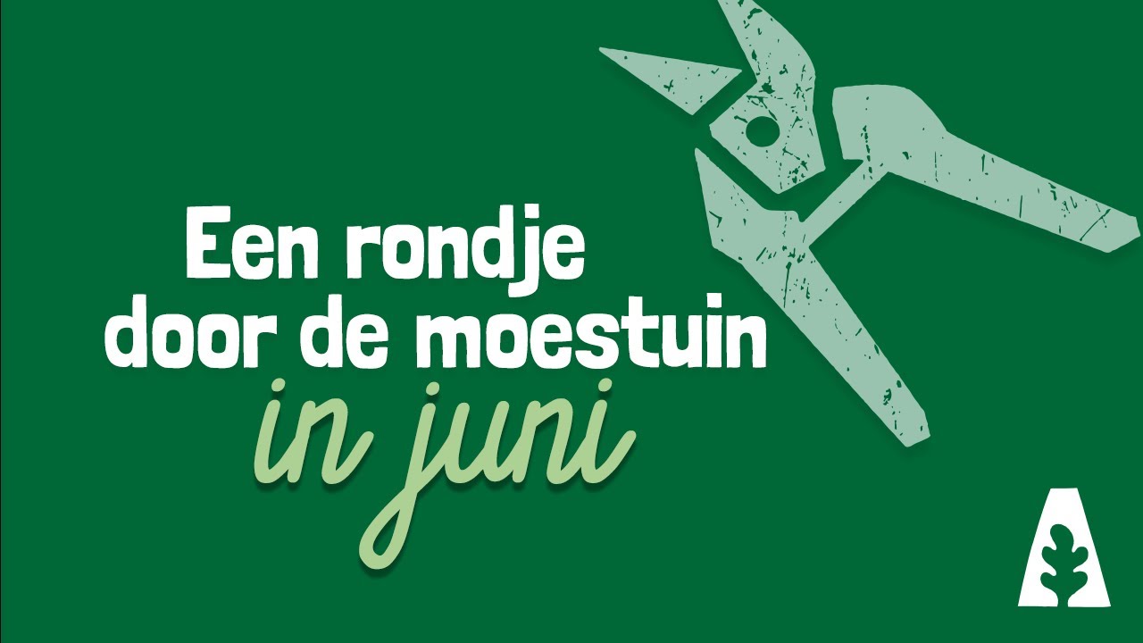 Stadstuinieren - Een rondje door de moestuin in juni