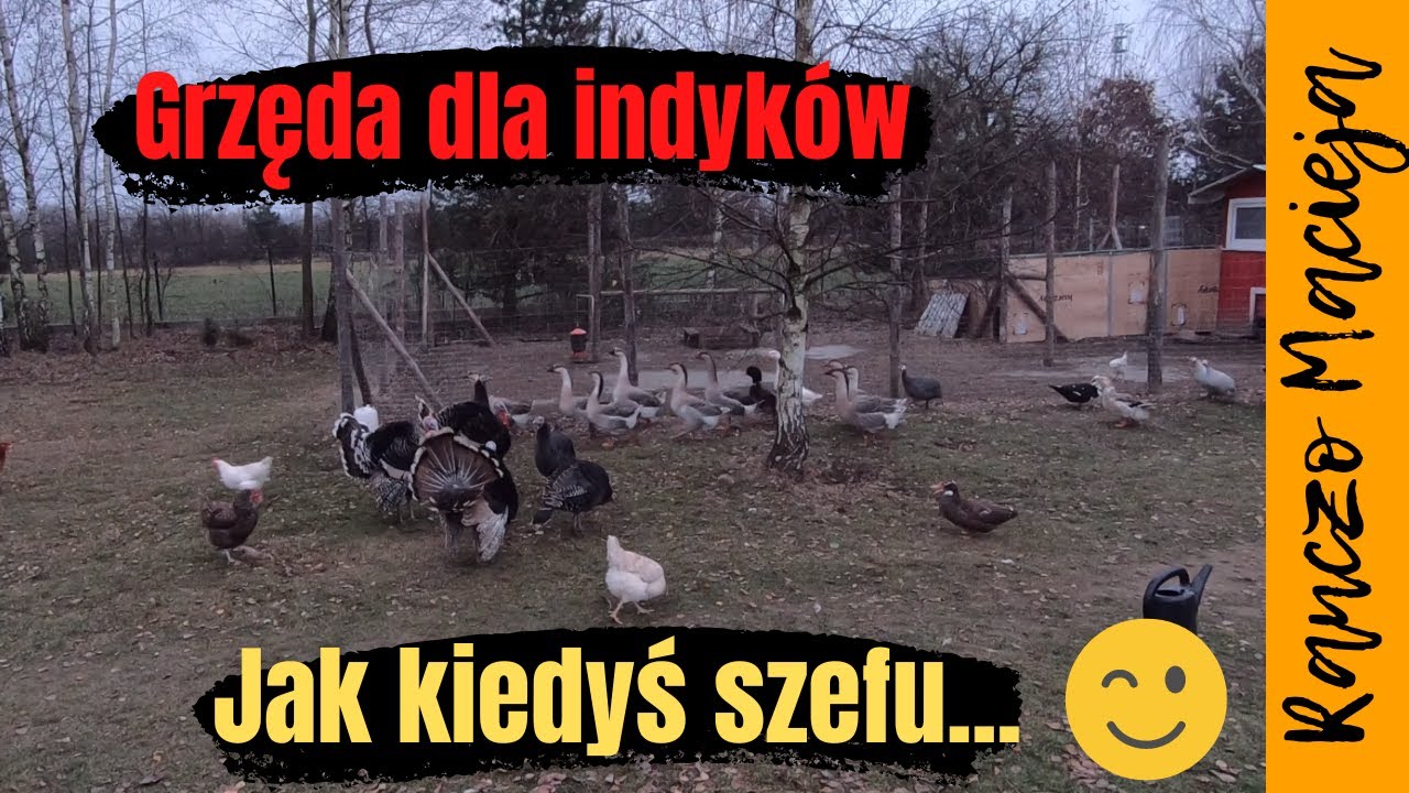 Z kamerą na głowie jak kiedyś Łukasz Budowlaniec #198