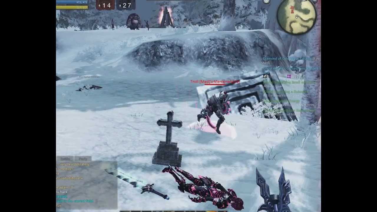 Raiderz damege hack