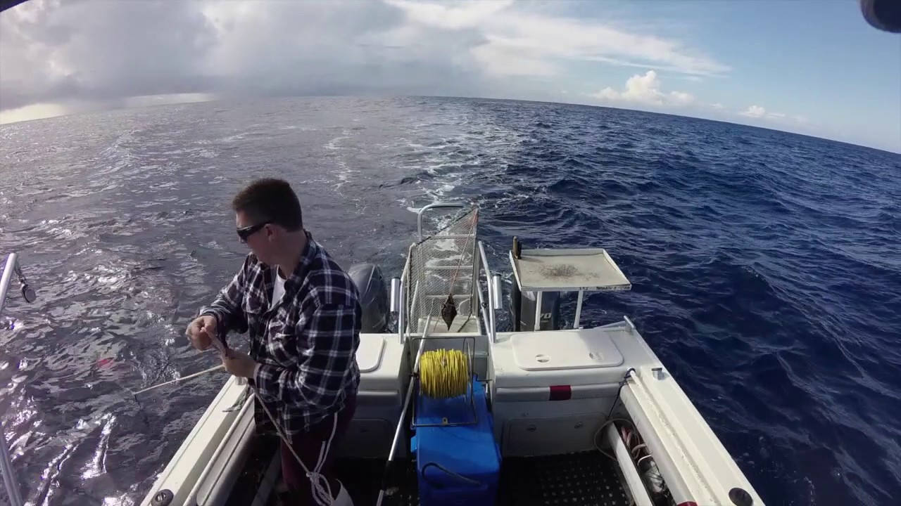 Just another Spanner Crab trip