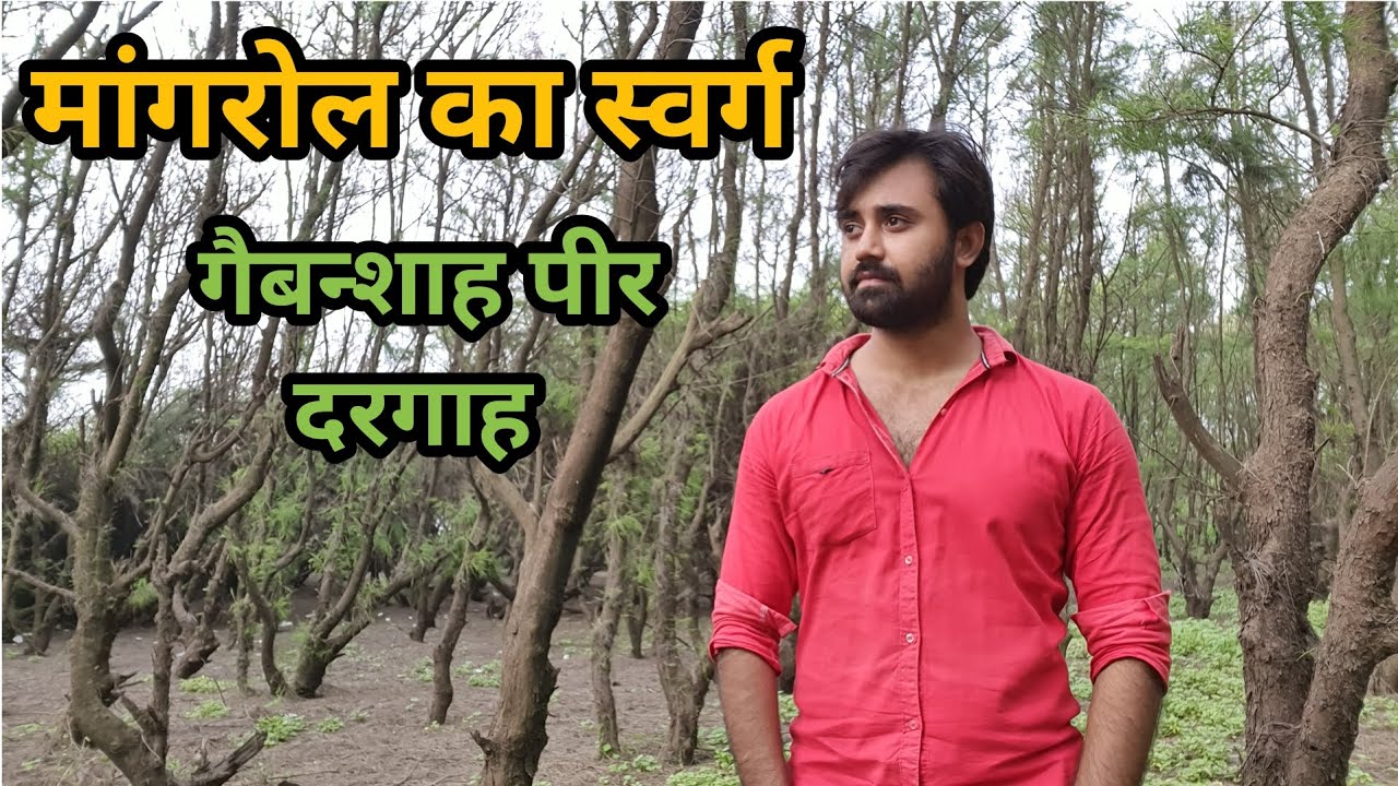 Mangrol ka swarg | Gebanshah pir Dargaah Maktupur