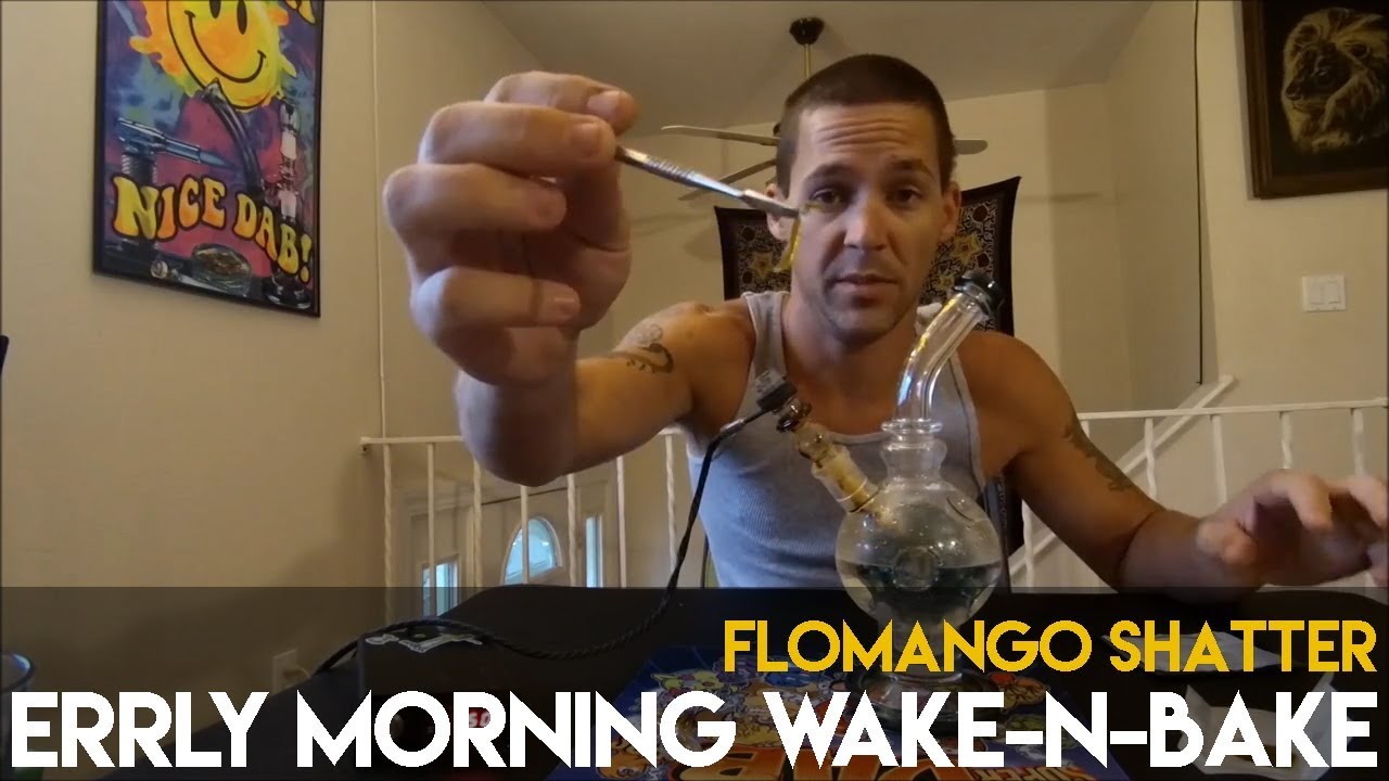 Wake'N'Bake FloMango Shatter