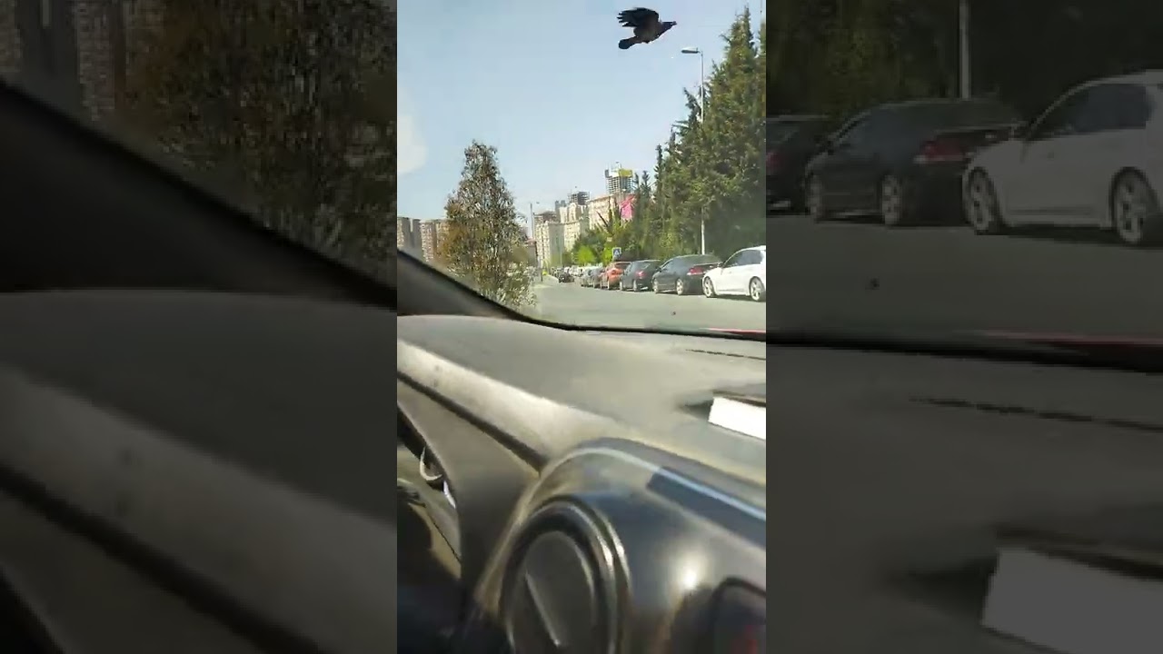 Dış Tur / Ataşehir Sınav Parkur Alanı