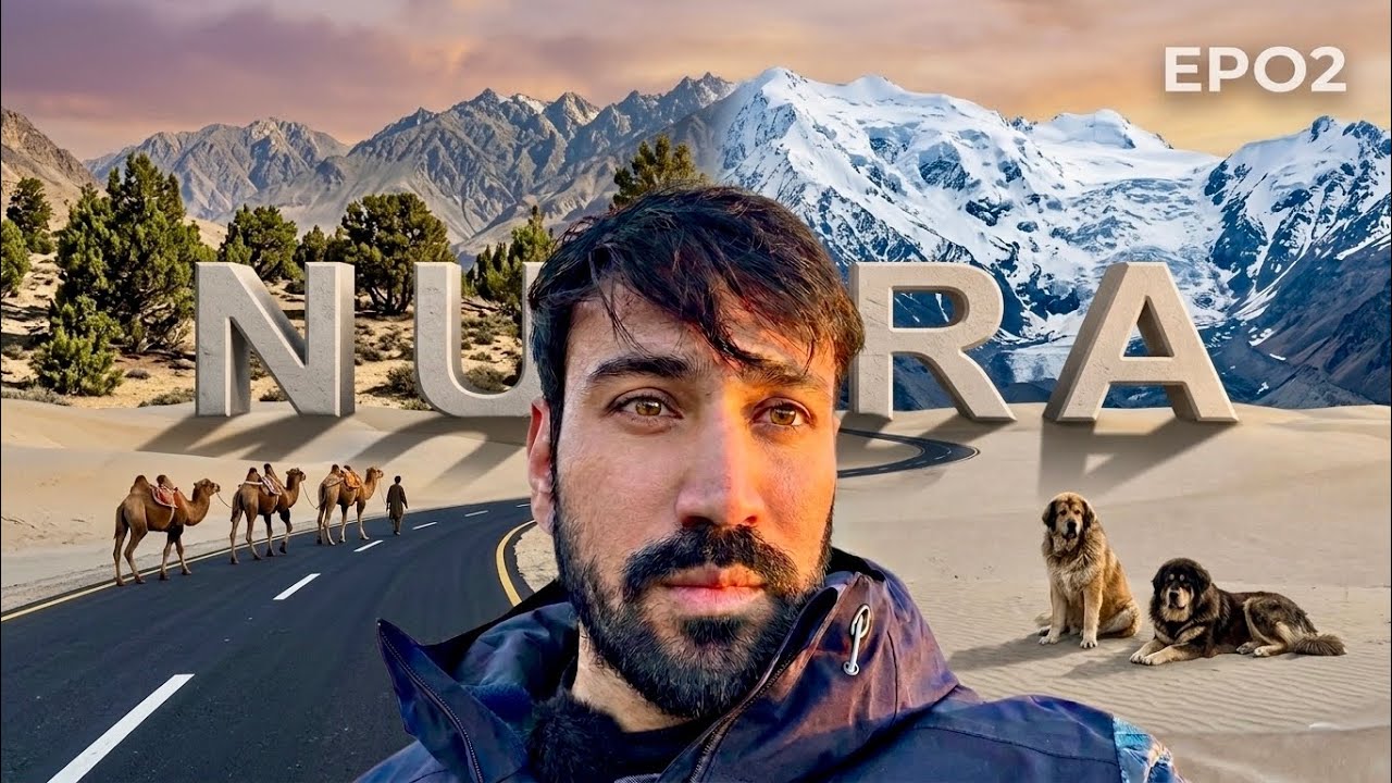 34 Hour Car Adventure: Cute Animals, Stunning Lakes...