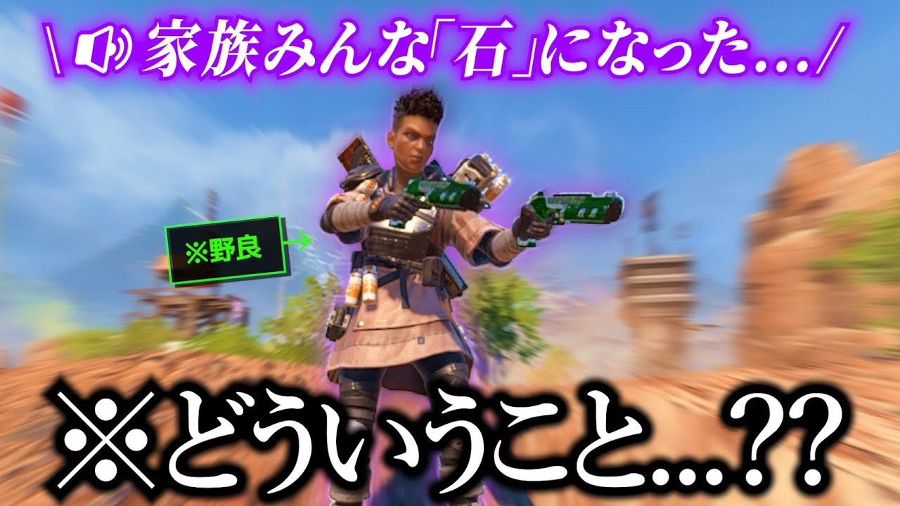 「石」に呪われてるシャイな野良が可愛かったw【APEX】