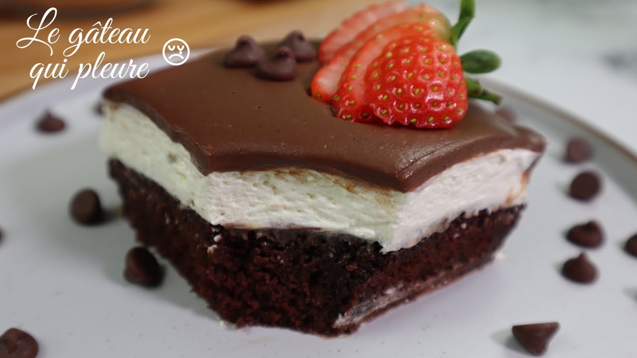 VOICI LA RECETTE DU CÉLÈBRE GÂTEAU QUI PLEURE 😢  | GÂTEAU TURC |  Ağlayan Kek | SAM LAKE CHANNEL