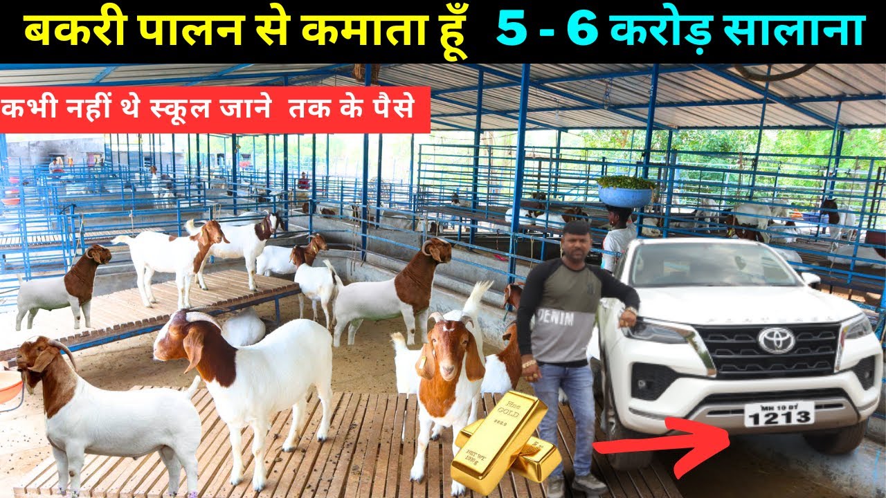 एक बकरी पालक की करोड़पति बनने की पूरी कहानी ll सालाना कमाई 6 करोड़  @@@IFT