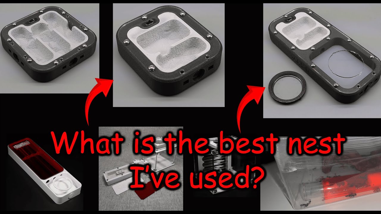 Ant Nest Guide for Small Colonies – What I Actually Use!