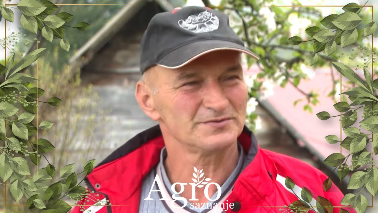 AGROSAZNANJE - Izet Cikotić iz Gornje Vrbice o pčelarstvu i stočarstvu