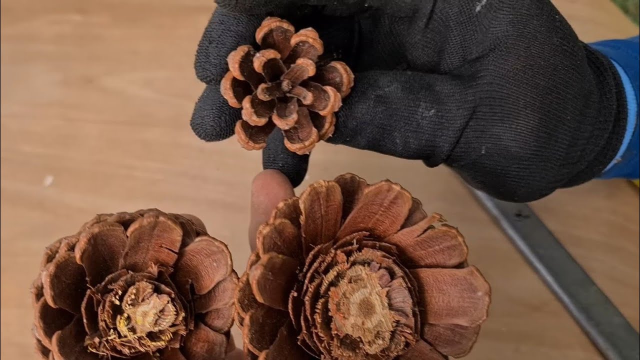 DIY Красивый, но дешево! Легко сделать в ручном учебном пособии
