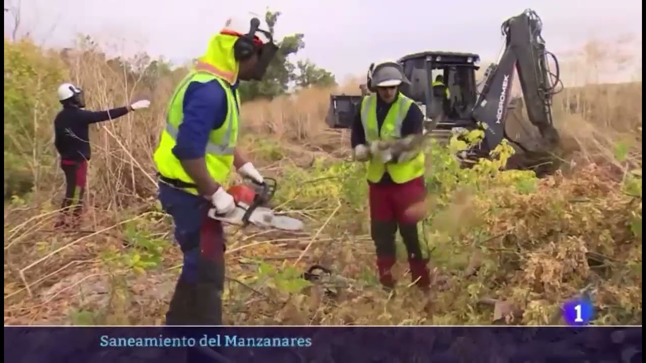 Restauración fluvial río Manzanares y arroyo Culebro