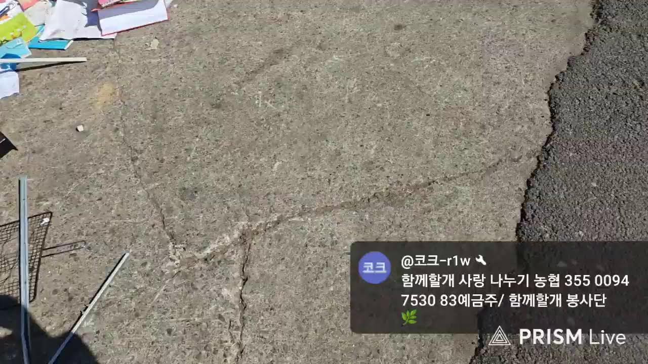 함께할개TV 봉사단 라이브 방송