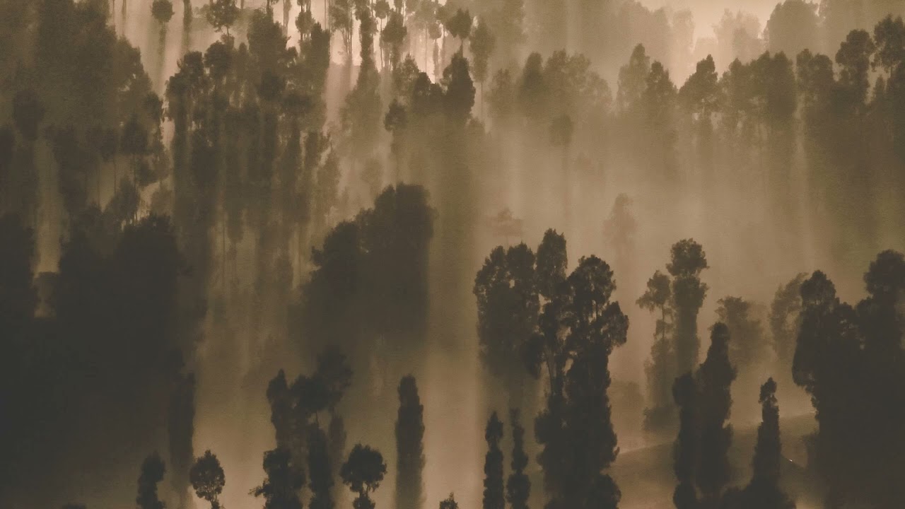 Ambient 2023: The Ultimate Music for Serenity