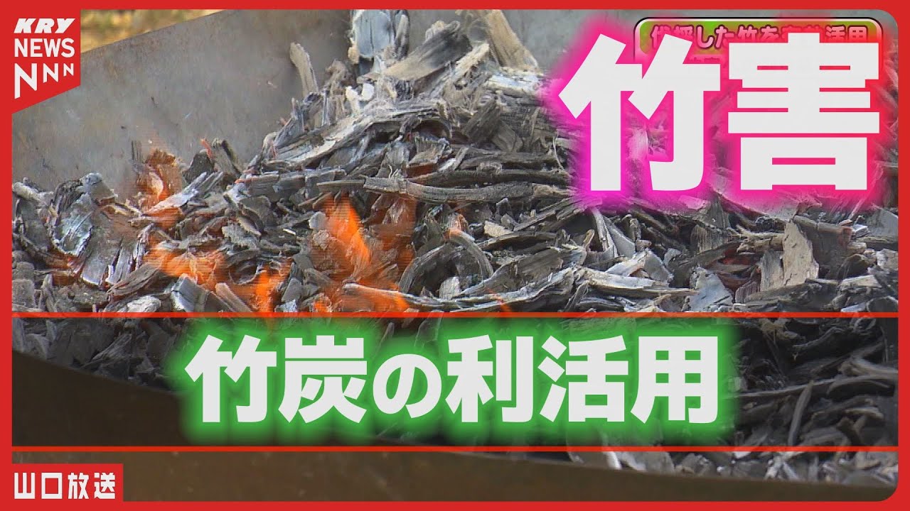【竹害対策】放置竹林を宝に変える！山口発の竹炭活用術！