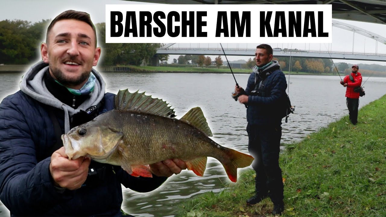 Barsche angeln in Holland am Kanal 🇱🇺