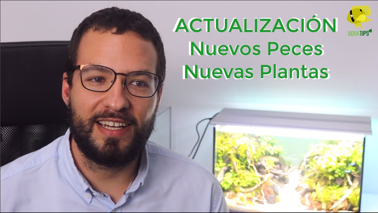 ✅Actualización ACUARIO PLANTADO, 🐠NUEVOS PECES y 🌱PLANTAS || AquaTips