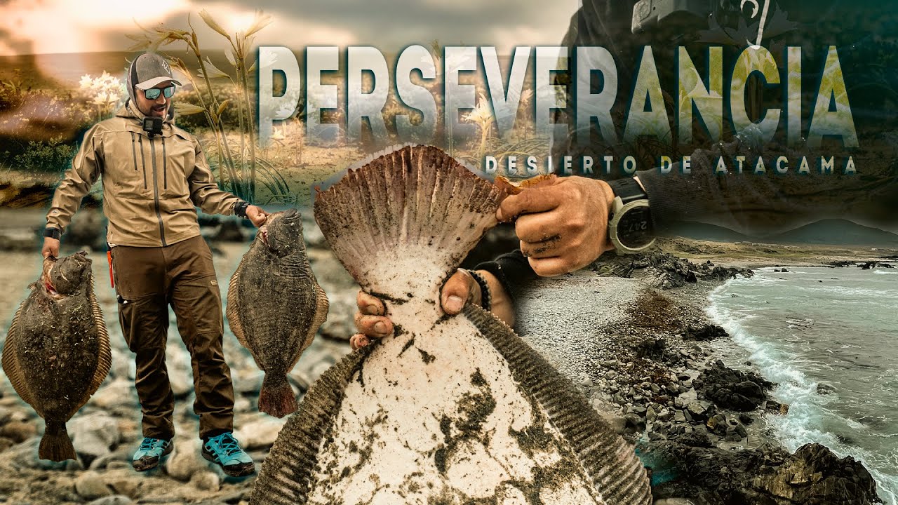 Documental: Perseverancia - Pescar Lenguados en el Desierto Más Árido Del Mundo 🌎 🐟