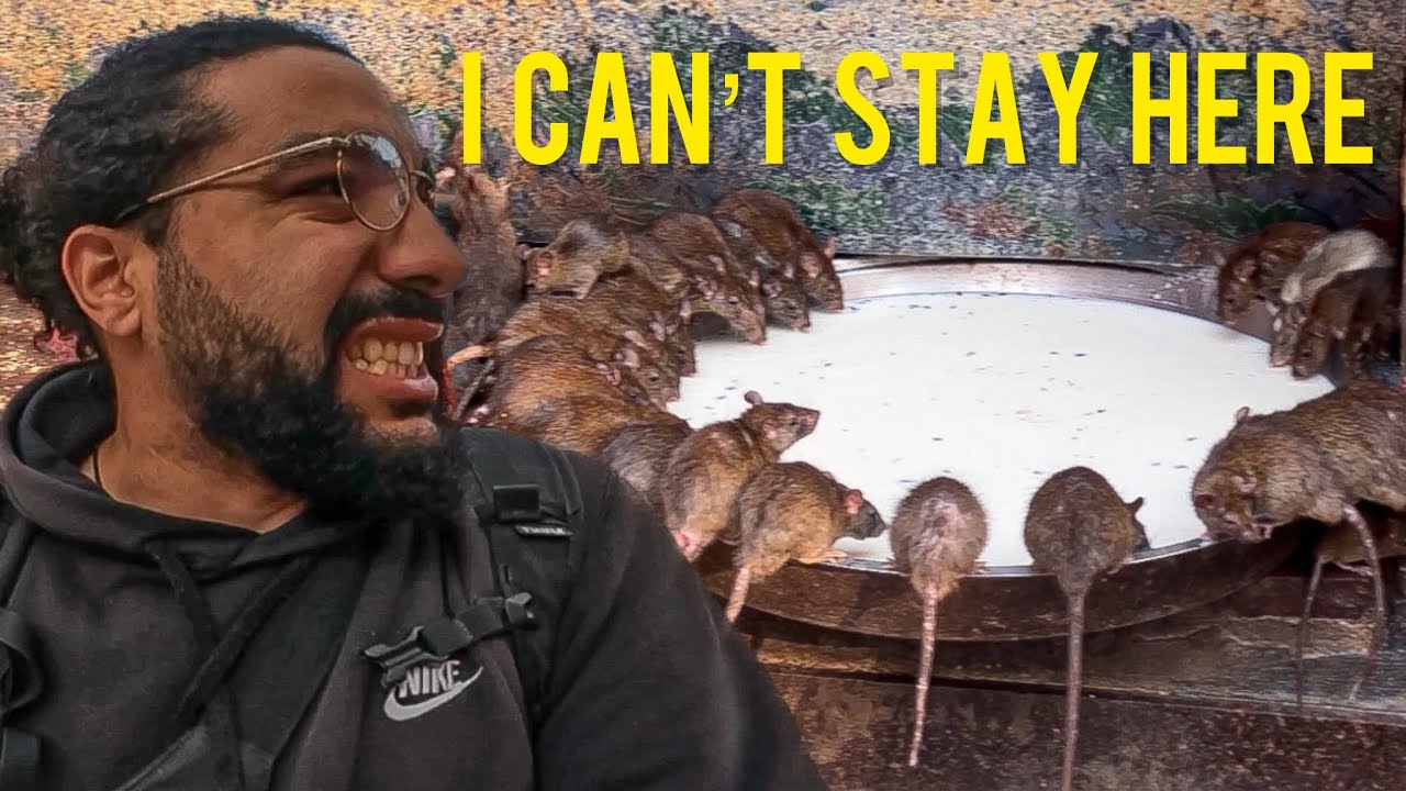 Facing my Fear at the Rat Temple, India 🇮🇳