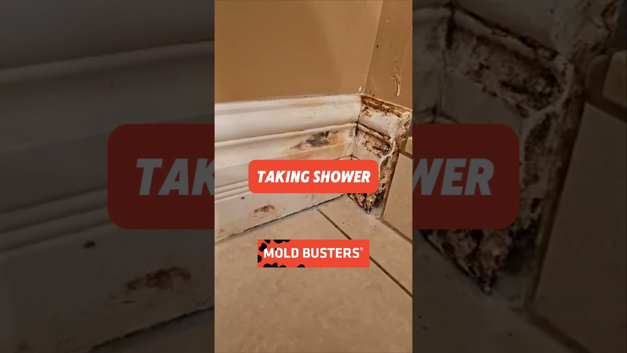 Shower Mold Free Virtual Inspection - Mold Busters