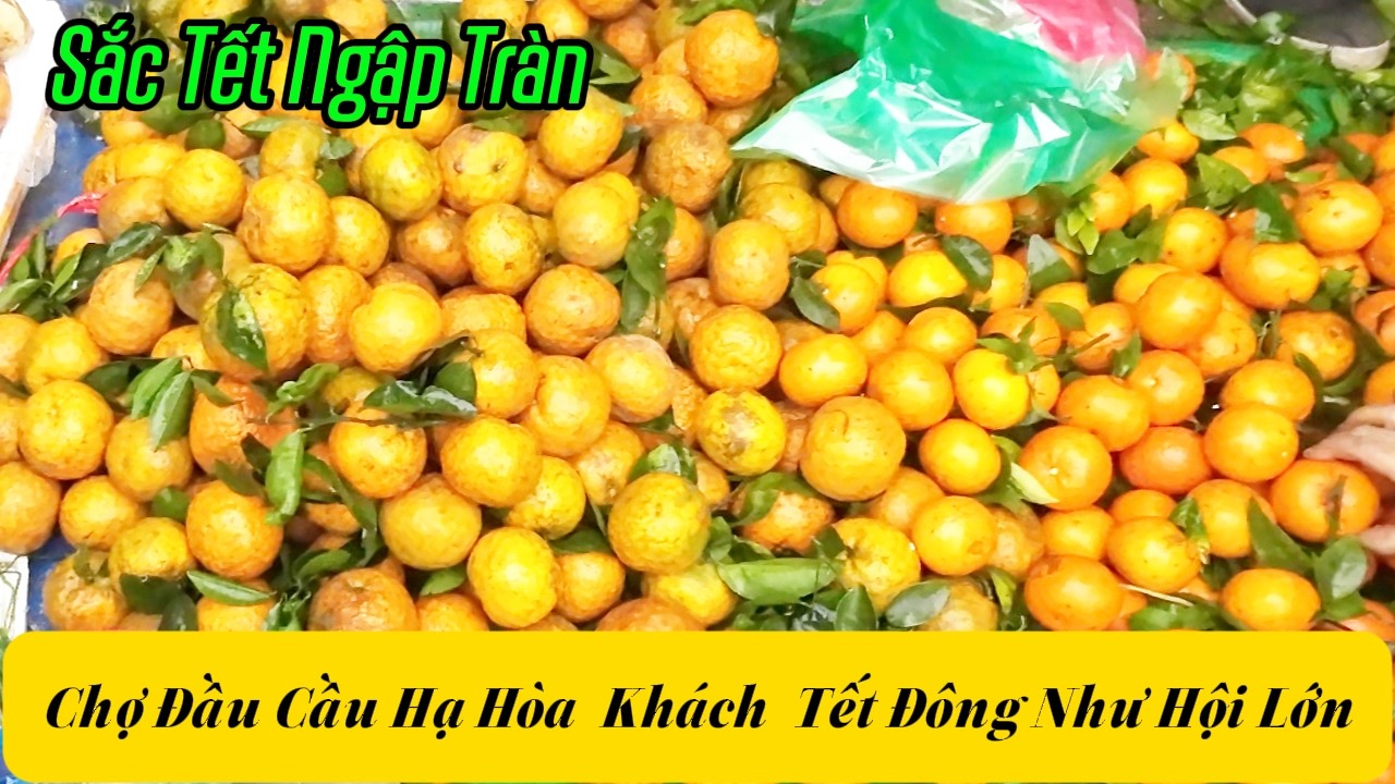 Chợ Phiên Đầu Cầu Hạ Hòa Ngày 27 Tết, Đông Ngất Người